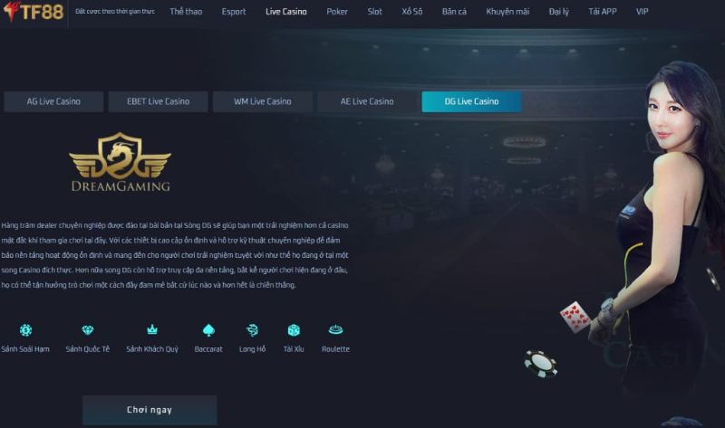 live-casino